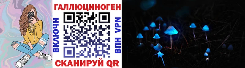 Псилоцибиновые грибы GOLDEN TEACHER  Борисоглебск 